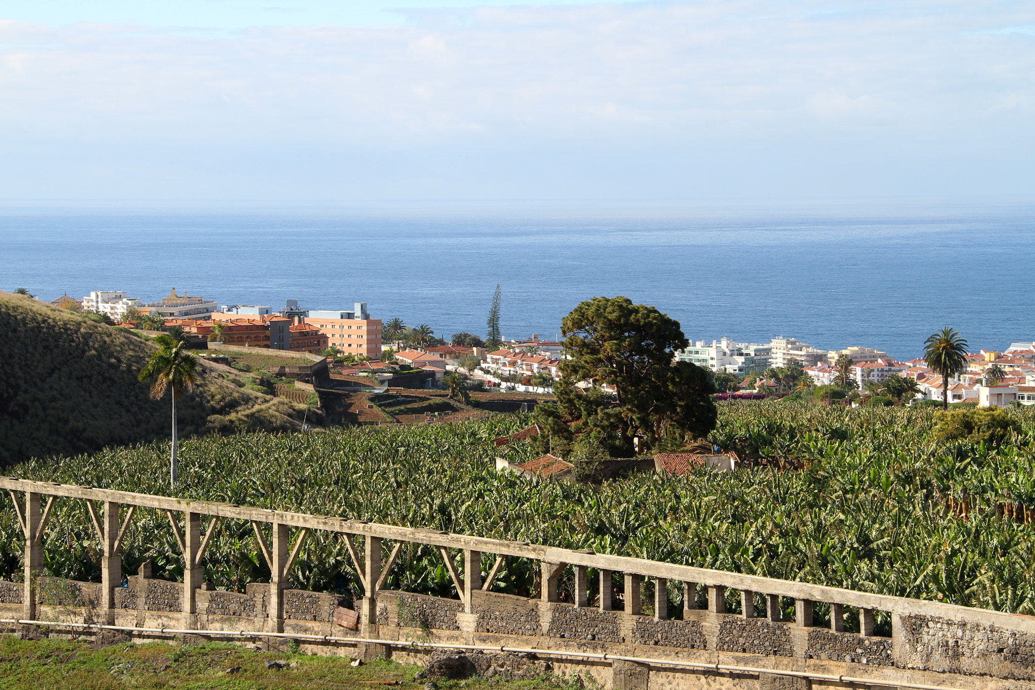Puerto de la Cruz (Photo license: CC BY-NC 2.0)